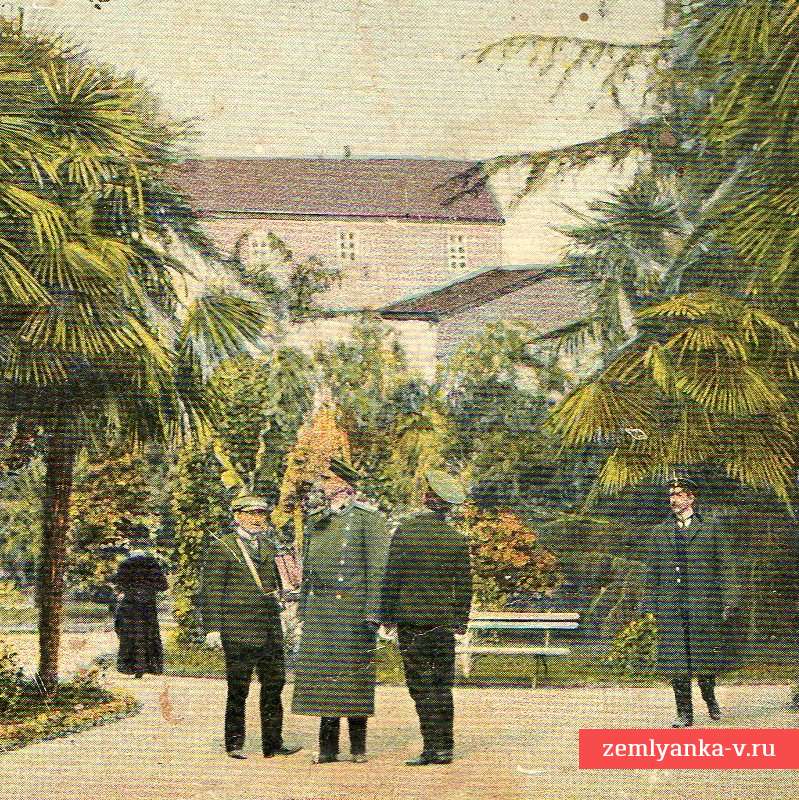 Почтовая карточка (открытка) «Сухум. «Синоп». Пальмовая аллея»