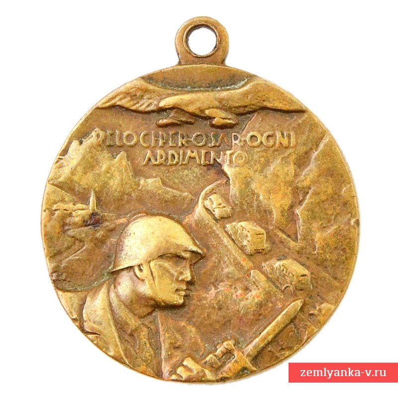 Итальянская медаль 115-го моторизованного полка «Тревизо»