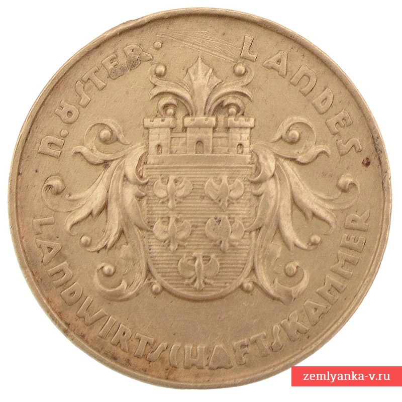 Австрия. Медаль за 10 лет службы для чиновников Лесного и земельного ведомства
